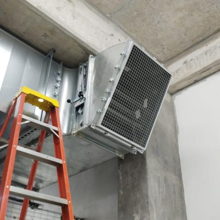 WhatsApp Image 2025-04-21 at 3.15.49 PM